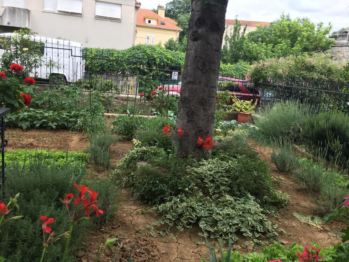 Apartments Ursic Split Dış mekan fotoğraf